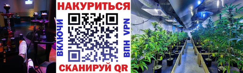 Купить наркотики сайты Тетюши ГАШИШ  Псилоцибиновые грибы  Alpha-PVP  Меф  Cocaine  Бошки Шишки 