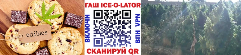 хочу наркоту  Тетюши  Печенье с ТГК марихуана 