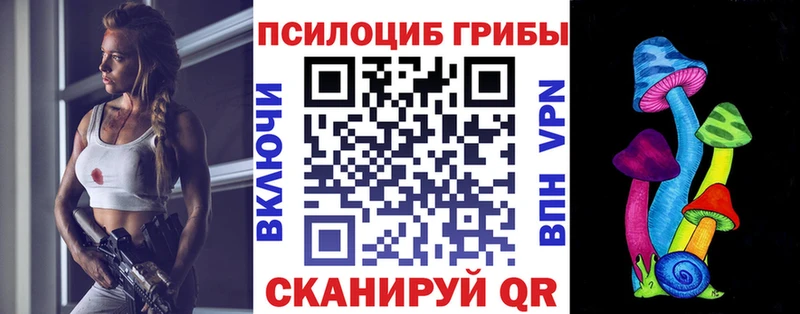 где можно купить   Тетюши  Галлюциногенные грибы ЛСД 